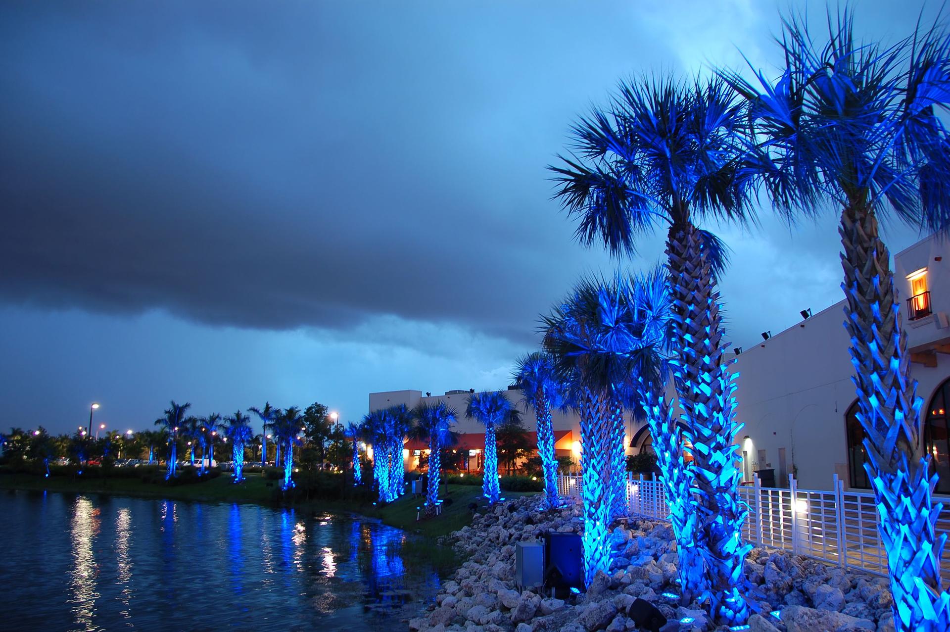 Vibrant blue uplighting on palm trees around a waterfront estate in Jupiter, Florida, showcasing expert coastal landscape lighting by Nightlight Pros