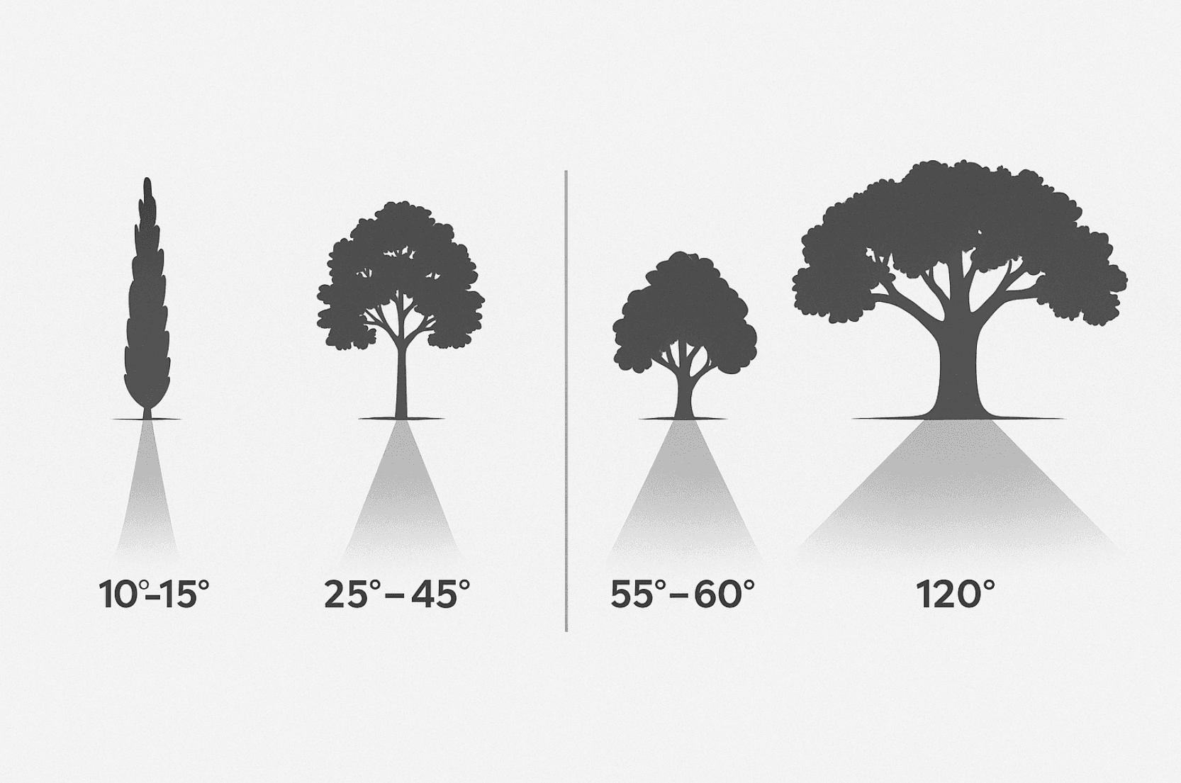 Diagram of beam spread angles from 10° to 120°, illustrating how different lighting degrees highlight trees, columns, and landscape features in outdoor lighting design.