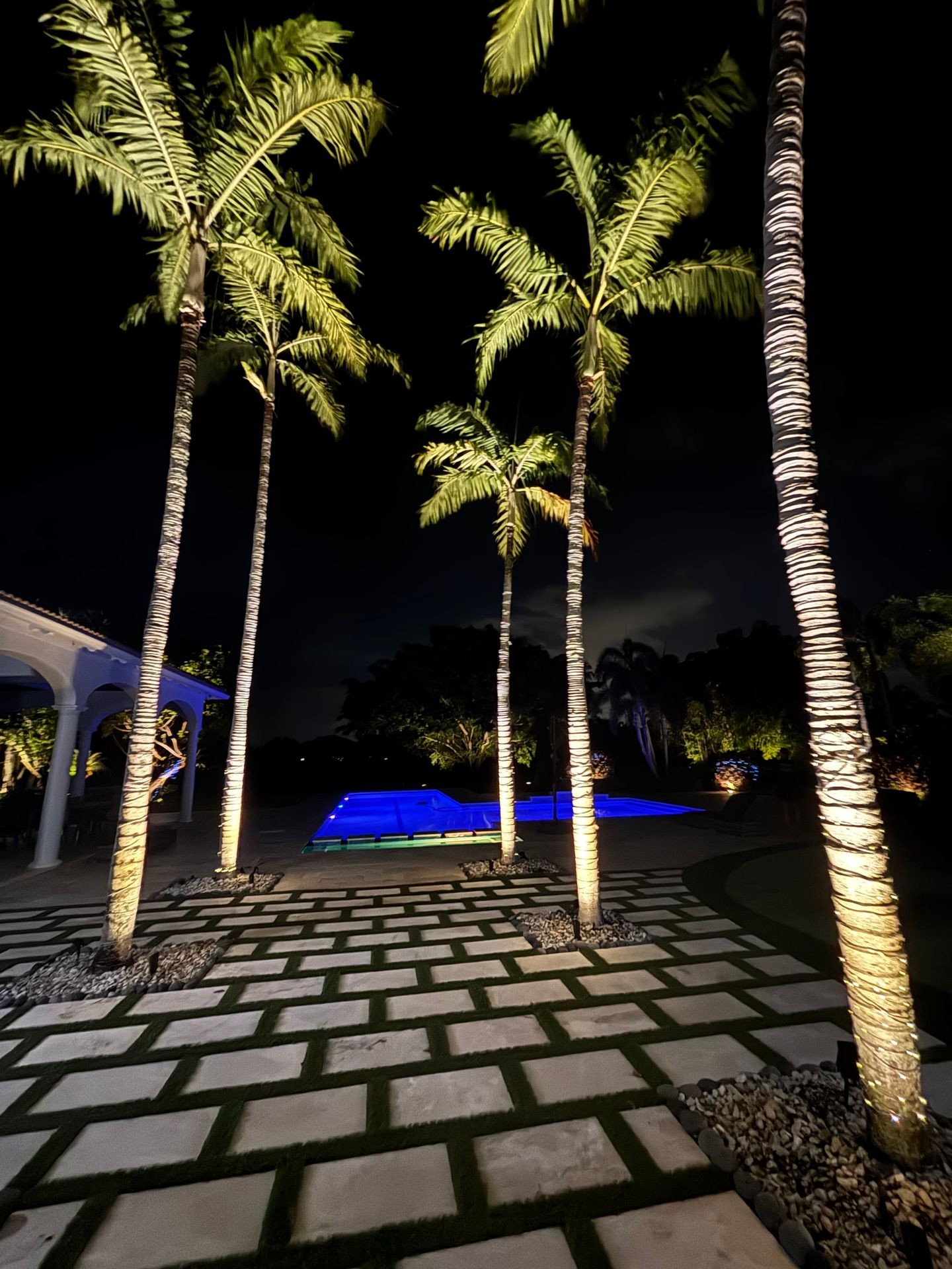Boca Raton Palm tree lighting and LED poolside illumination for upscale outdoor spaces